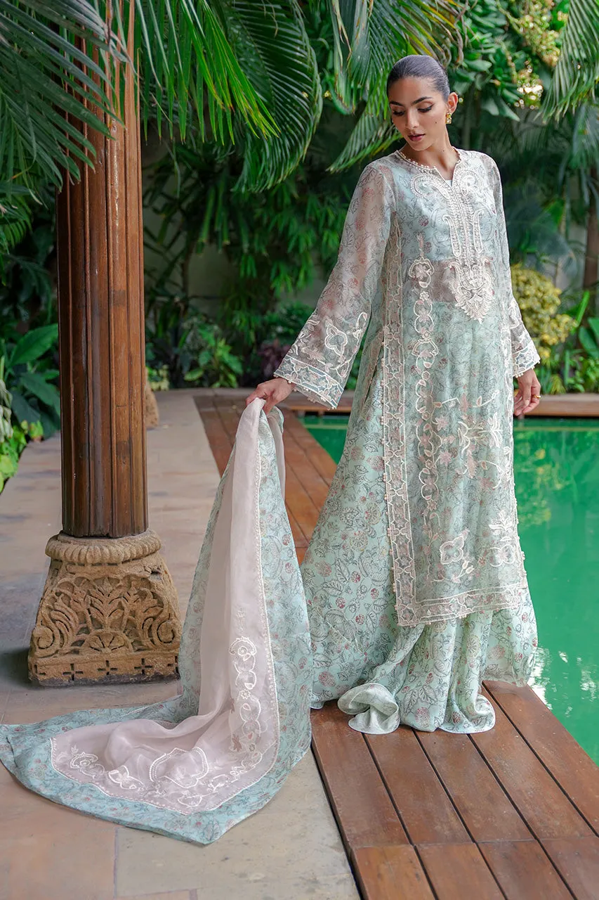 Inaya Drop II '24 - Zerin