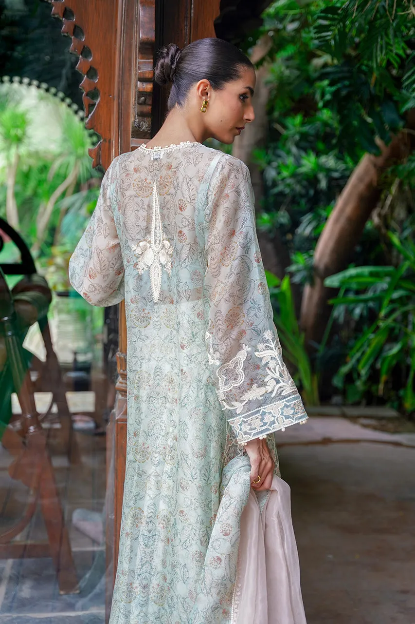 Inaya Drop II '24 - Zerin